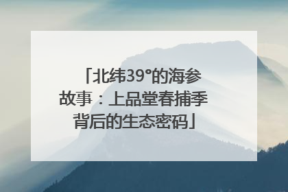 北纬39°的海参故事：上品堂春捕季背后的生态密码