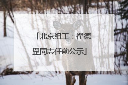 北京组工：翟德罡同志任前公示