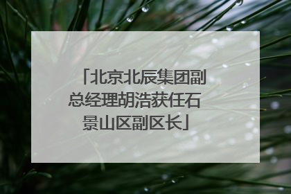 北京北辰集团副总经理胡浩获任石景山区副区长