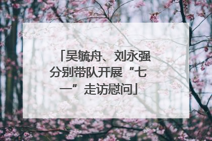 吴毓舟、刘永强分别带队开展“七一”走访慰问