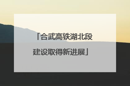 合武高铁湖北段建设取得新进展