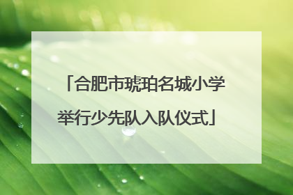 合肥市琥珀名城小学举行少先队入队仪式
