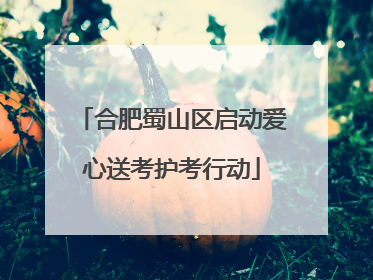 合肥蜀山区启动爱心送考护考行动
