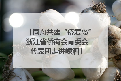 同舟共建“侨爱岛” 浙江省侨商会青委会代表团走进嵊泗
