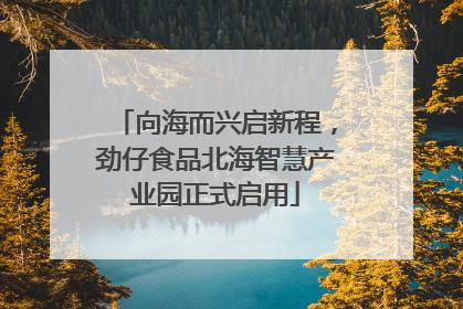 向海而兴启新程，劲仔食品北海智慧产业园正式启用