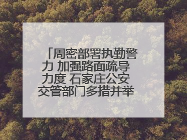 周密部署执勤警力 加强路面疏导力度 石家庄公安交管部门多措并举确保考点周边交通环境良好