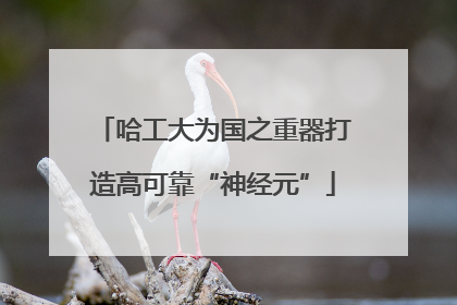 哈工大为国之重器打造高可靠“神经元”