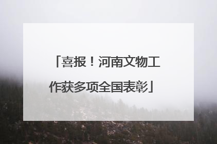喜报！河南文物工作获多项全国表彰