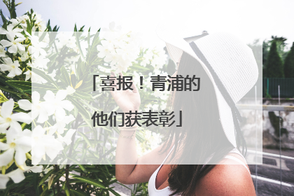 喜报！青浦的他们获表彰