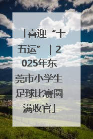喜迎“十五运”｜2025年东莞市小学生足球比赛圆满收官