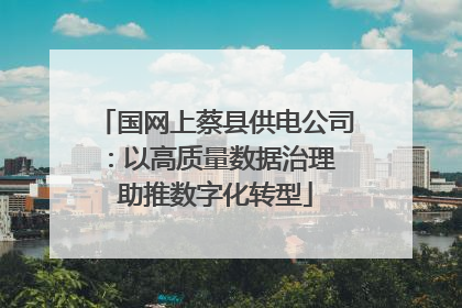 国网上蔡县供电公司：以高质量数据治理 助推数字化转型