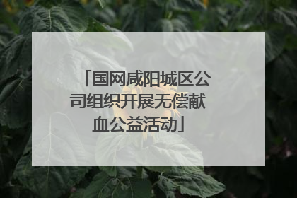 国网咸阳城区公司组织开展无偿献血公益活动