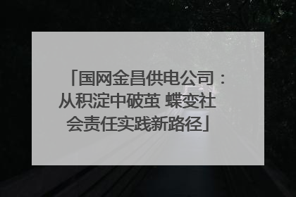 国网金昌供电公司：从积淀中破茧 蝶变社会责任实践新路径