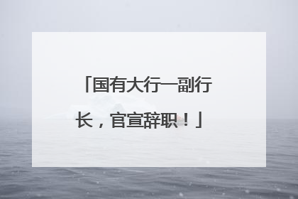 国有大行一副行长，官宣辞职！