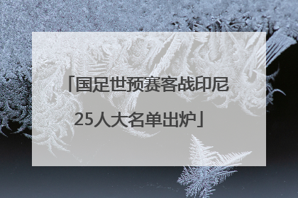 国足世预赛客战印尼25人大名单出炉