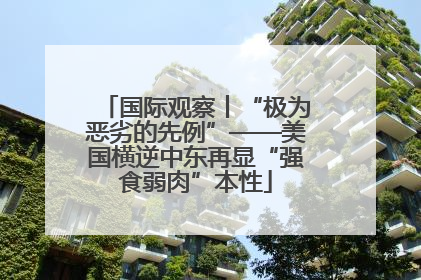 国际观察丨“极为恶劣的先例”——美国横逆中东再显“强食弱肉”本性