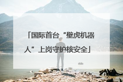 国际首台“壁虎机器人”上岗守护核安全