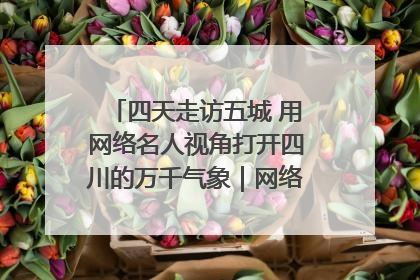 四天走访五城 用网络名人视角打开四川的万千气象｜网络名人四川行