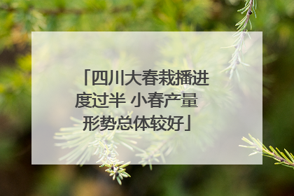 四川大春栽播进度过半 小春产量形势总体较好