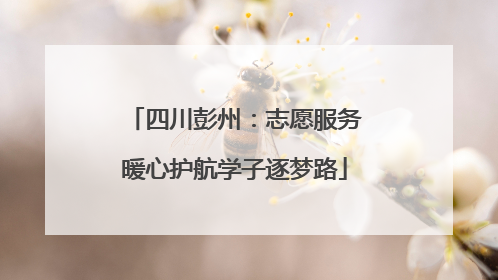 四川彭州：志愿服务暖心护航学子逐梦路