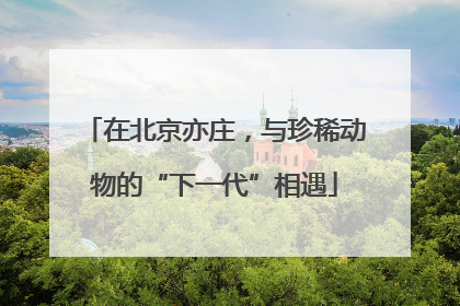 在北京亦庄，与珍稀动物的“下一代”相遇
