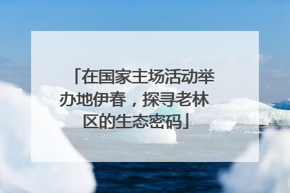 在国家主场活动举办地伊春，探寻老林区的生态密码