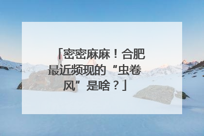 密密麻麻！合肥最近频现的“虫卷风”是啥？