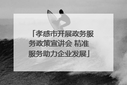 孝感市开展政务服务政策宣讲会 精准服务助力企业发展