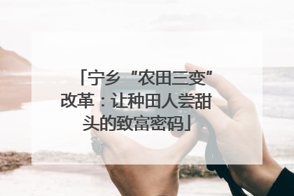 宁乡“农田三变”改革：让种田人尝甜头的致富密码