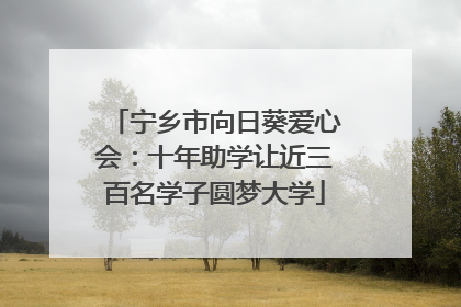 宁乡市向日葵爱心会：十年助学让近三百名学子圆梦大学