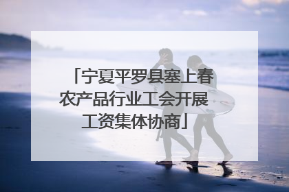 宁夏平罗县塞上春农产品行业工会开展工资集体协商
