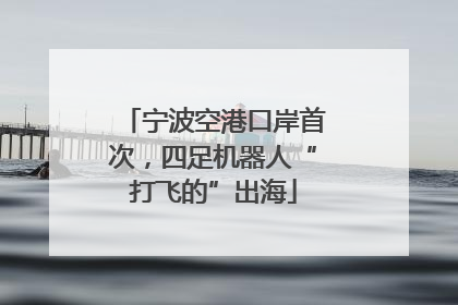 宁波空港口岸首次，四足机器人“打飞的”出海