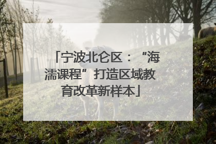 宁波北仑区：“海濡课程”打造区域教育改革新样本