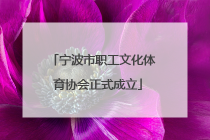 宁波市职工文化体育协会正式成立