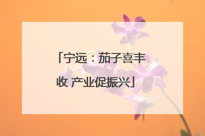 宁远：茄子喜丰收 产业促振兴