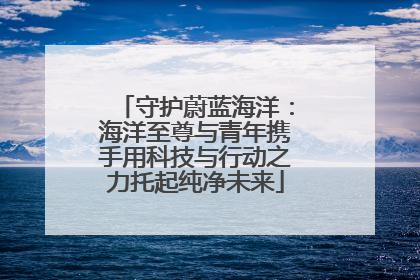 守护蔚蓝海洋：海洋至尊与青年携手用科技与行动之力托起纯净未来