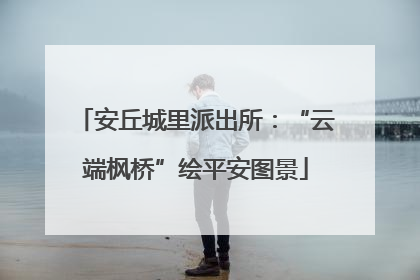 安丘城里派出所：“云端枫桥”绘平安图景