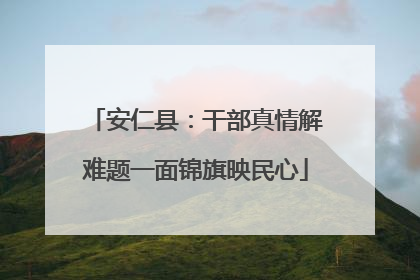 安仁县：干部真情解难题一面锦旗映民心