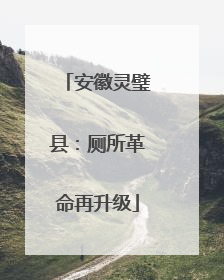 安徽灵璧县：厕所革命再升级