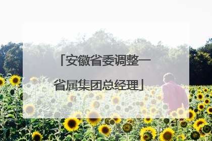 安徽省委调整一省属集团总经理