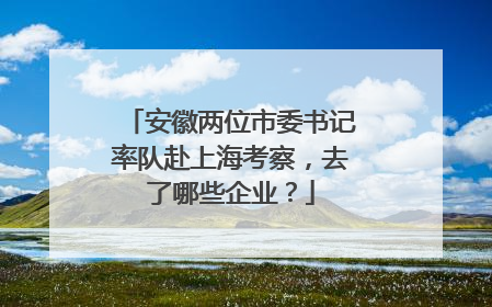安徽两位市委书记率队赴上海考察，去了哪些企业？
