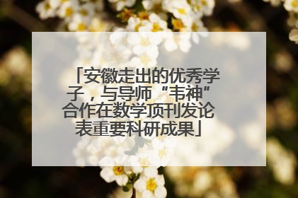 安徽走出的优秀学子，与导师“韦神”合作在数学顶刊发论表重要科研成果