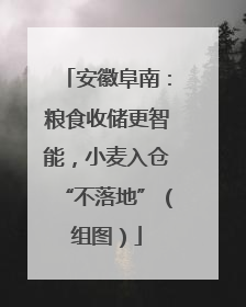 安徽阜南：粮食收储更智能，小麦入仓“不落地”（组图）
