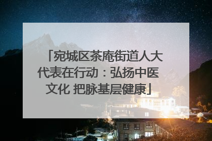 宛城区茶庵街道人大代表在行动：弘扬中医文化 把脉基层健康