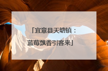 宜章县天塘镇：蓝莓飘香引客来