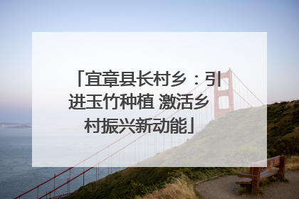 宜章县长村乡：引进玉竹种植 激活乡村振兴新动能