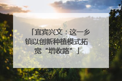 宜宾兴文：这一乡镇以创新种植模式拓宽“增收路”