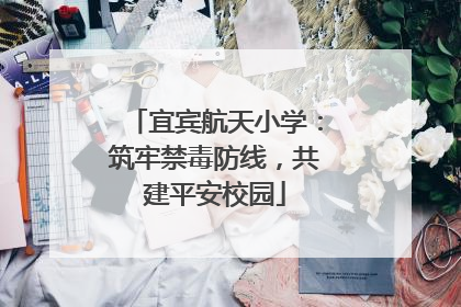 宜宾航天小学：筑牢禁毒防线，共建平安校园