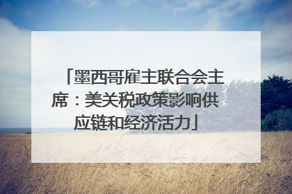 墨西哥雇主联合会主席：美关税政策影响供应链和经济活力