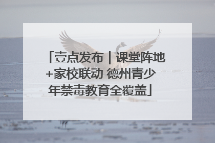 壹点发布｜课堂阵地+家校联动 德州青少年禁毒教育全覆盖